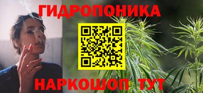 крисы Гусь-Хрустальный