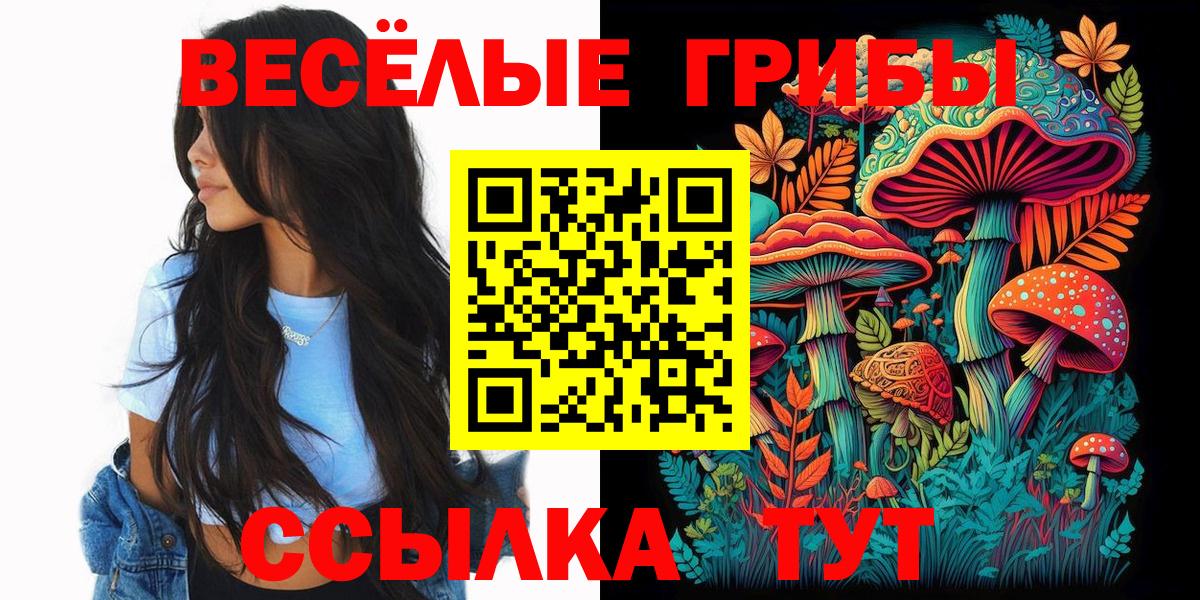 Можайск  Псилоцибиновые грибы прущие грибы  Вход с VPN 