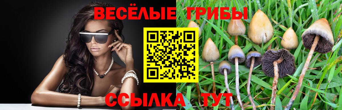 Псилоцибиновые грибы мицелий Можайск